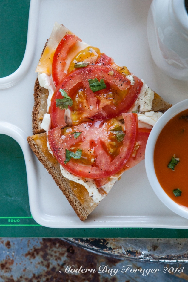 Grilled Cheese and Tomato Soup by Modern Day Forager
