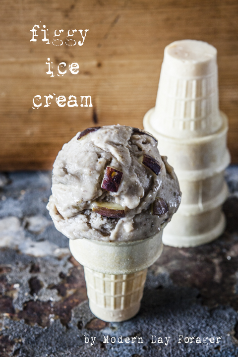 Figgy Ice Cream by Modern Day Forager
