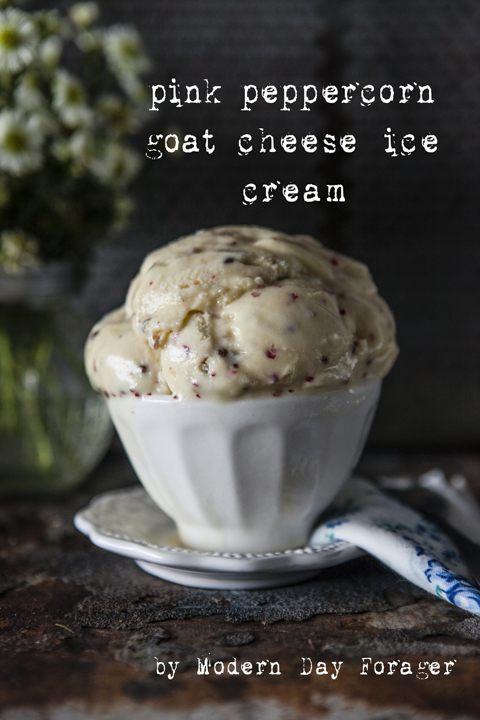 Pink Peppercorn Goat Cheese Ice Cream by Modern Day Forager